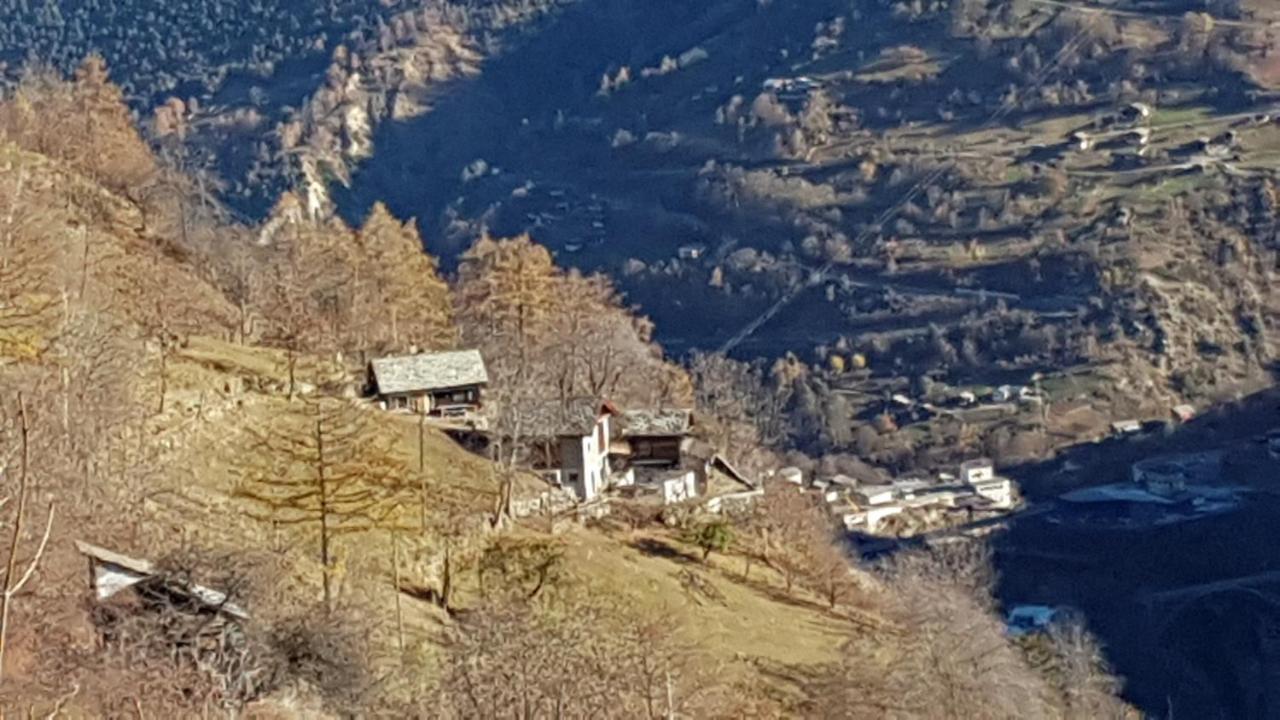 Chalet La Paz With Hotpot And Sauna Villa Törbel Exteriör bild