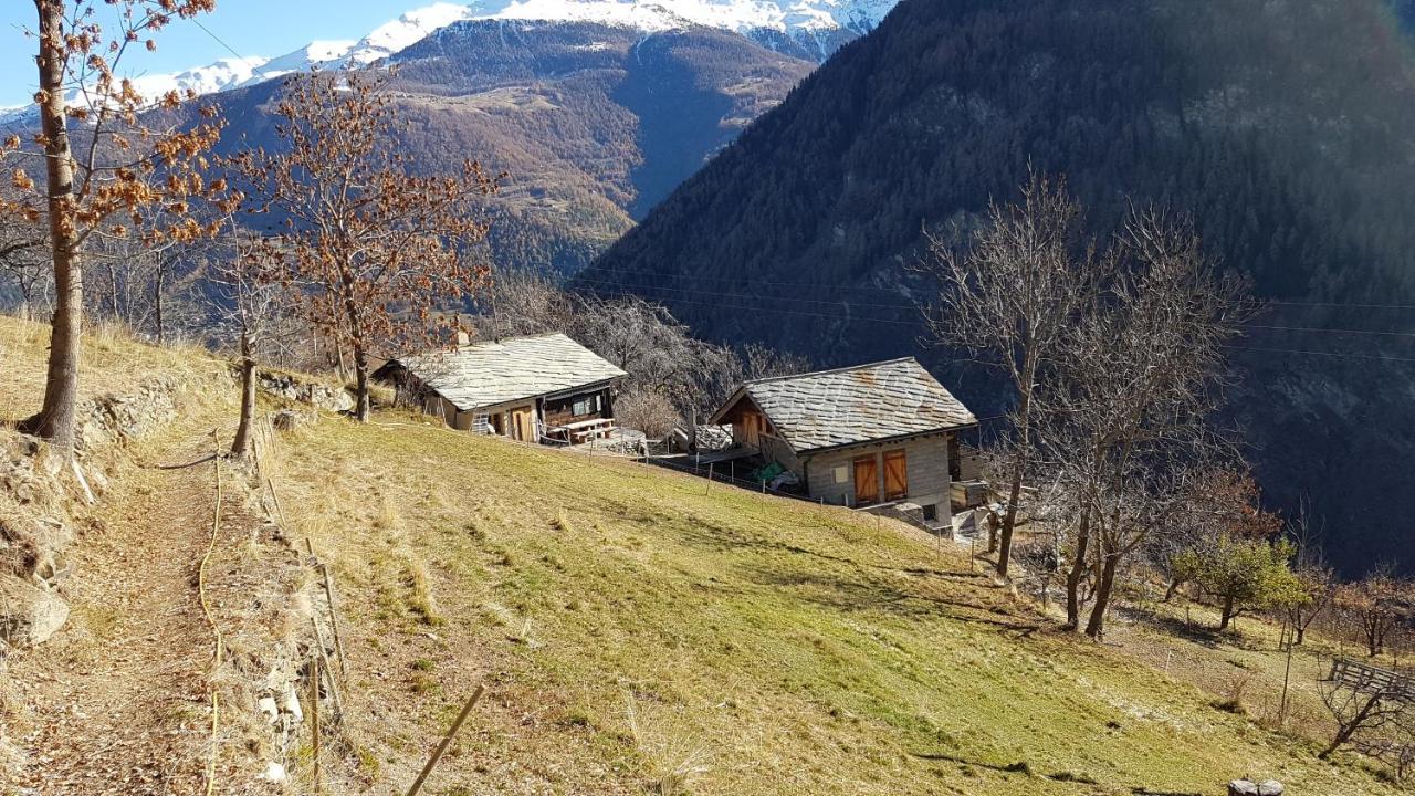 Chalet La Paz With Hotpot And Sauna Villa Törbel Exteriör bild