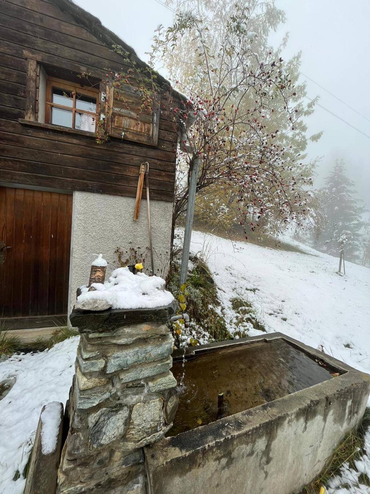 Chalet La Paz With Hotpot And Sauna Villa Törbel Exteriör bild