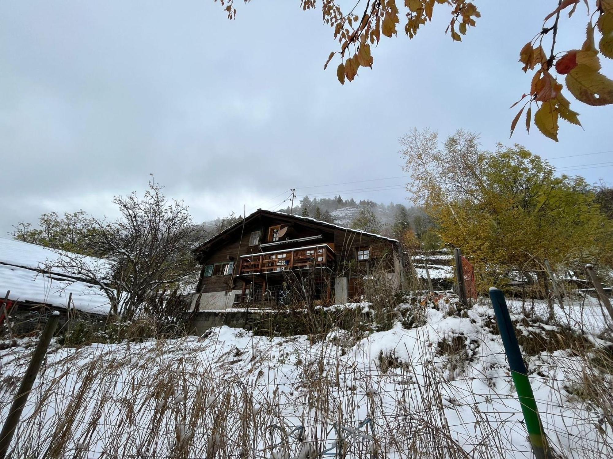 Chalet La Paz With Hotpot And Sauna Villa Törbel Exteriör bild