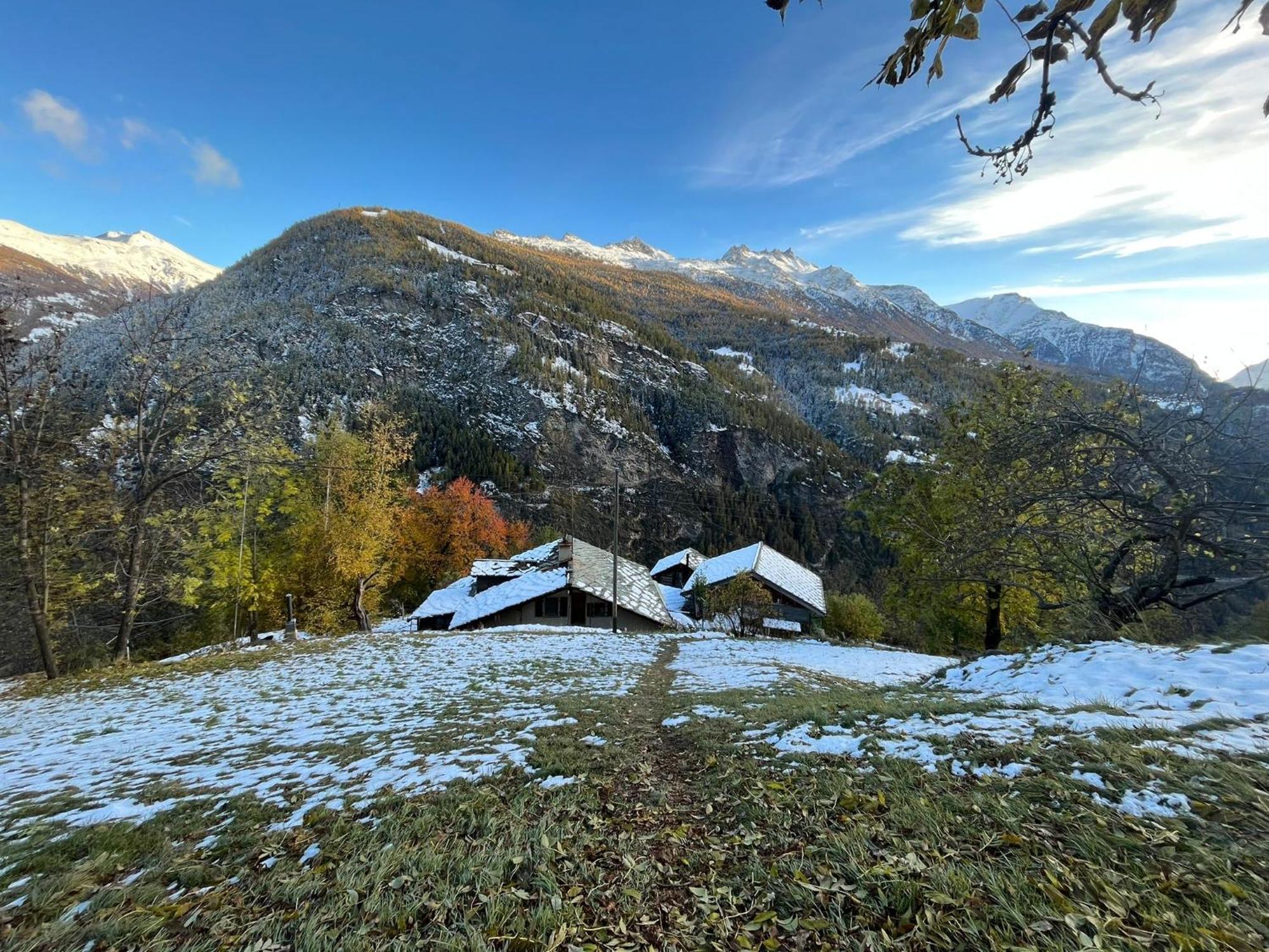 Chalet La Paz With Hotpot And Sauna Villa Törbel Exteriör bild
